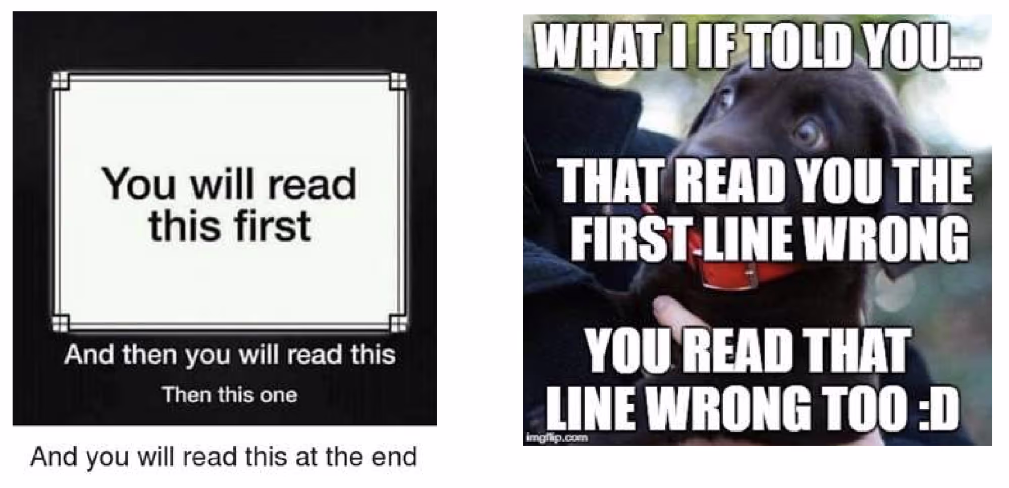 On the left is a screen with the words ‘You will read this first’ in a large black typeface on a light background surrounded by a frame; below and outside the frame and at a smaller size are the words ‘And then you will read this’; farther below and smaller still are the words ‘Then this one’. On the right is a photo of a black puppy over which, in a large, white typeface outlined in black, are the words: (top) ‘WHAT I IF TOLD YOU…’; (middle) ‘THAT READ YOU THE FIRST LINE WRONG’; and (bottom) ‘YOU READ THAT LINE WRONG TOO :D [grin emoji]’.